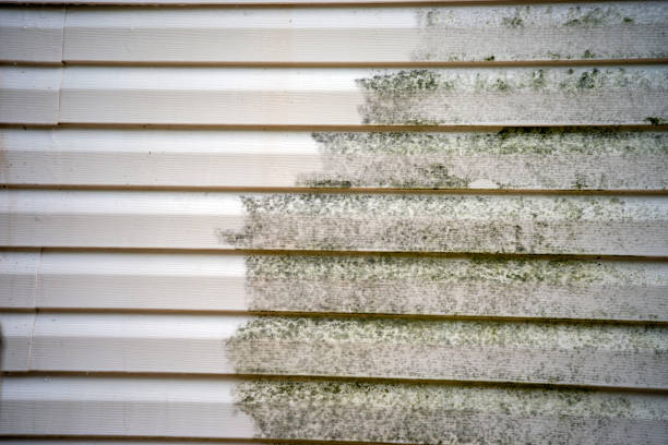 Moving and Downsizing Cleanouts in Marshfield Hills, MA